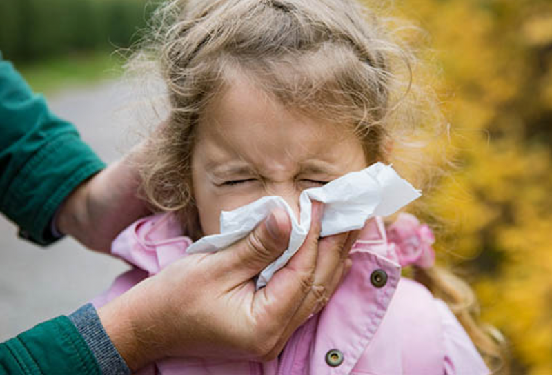 7 Tips To Beat Colds Naturally– The Physic Garden