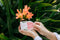 Pregnancy Essentials Bundle by The Physic Garden - The Physic Garden
