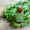 Essential Oil Bundle by The Physic Garden - The Physic Garden